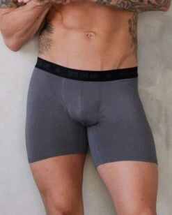 Everyday Boxer Briefs - 5" -Men's daily clothing Mens BoxerBrief Charcoal Close 7094cb8b 40c4 42f6 90e8 02b9a071dc34